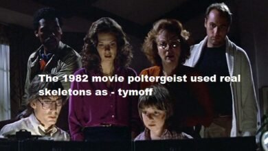 the 1982 movie poltergeist used real skeletons as - tymoff