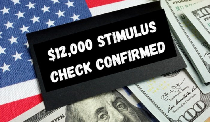 $12000 stimulus check 2024